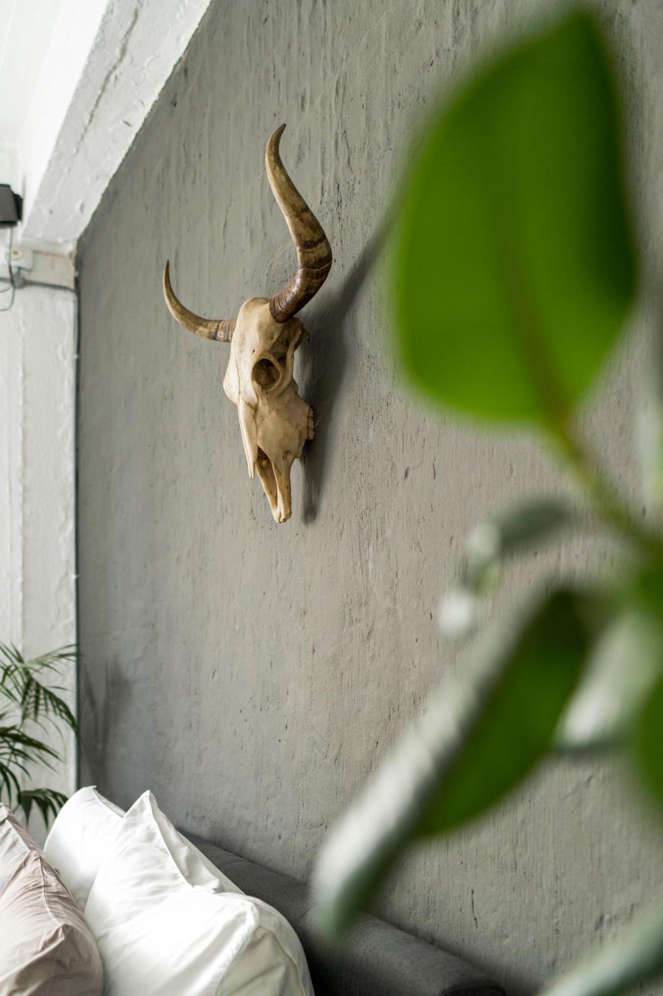 Urban Fox Penthouse By Curiocity Johannesburg Zewnętrze zdjęcie
